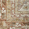 Nourison Petra PTR01 Rust Area Rug Swatch Image
