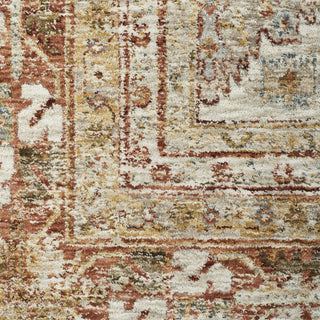Nourison Petra PTR01 Rust Area Rug Swatch Image