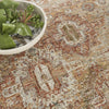Nourison Petra PTR01 Rust Area Rug Corner Image