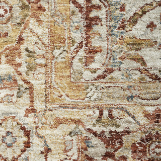 Nourison Petra PTR02 Rust Area Rug Swatch Image