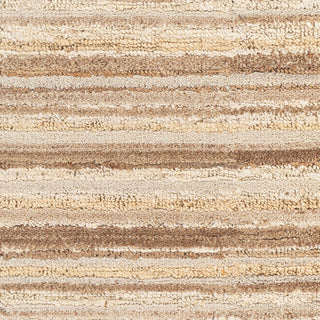 Surya Petra PTR-2301 Area Rug Swatch