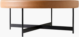 Surya Puck PUC-002 Brown / Black Furniture Angle