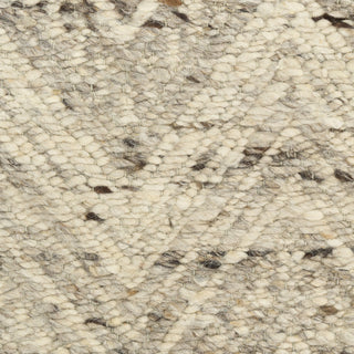 Nourison Pure Purl PUU01 Grey Ivory Area Rug by DKNY Swatch Image