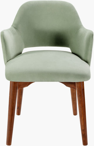 Surya Payette PYTE-001 Seafoam / Dark Brown Furniture Angle