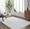 Livabliss Quebec QBC-2302 Area Rug