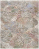 Nourison Quaint Harmony QUH04 Sage Multicolor Area Rug main image
