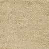 Surya Quito QUI-1000 Area Rug