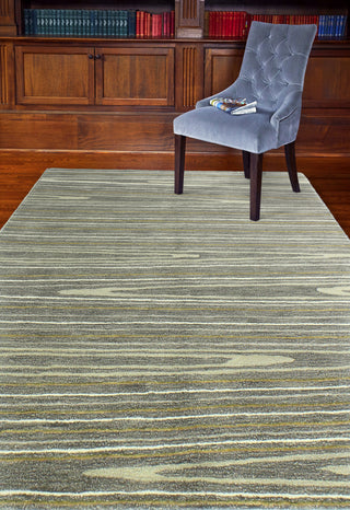 Bashian Greenwich R129-HG349 Grey Area Rug