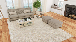 Bashian Valencia R131-AL305 Beige Area Rug Lifestyle Image Feature