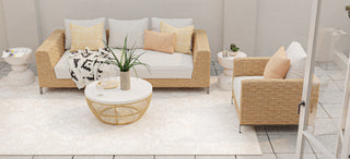 Bashian Valencia R131-AL139 Beige Area Rug Lifestyle Image Feature