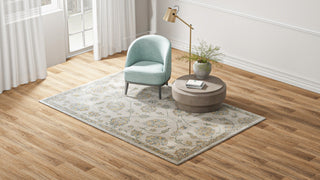 Bashian Valencia R131-AL303 Area Rug Room Scene