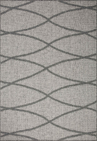 Loloi Rainier RAI-07 Dove / Grey Area Rug main image