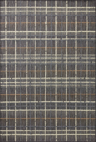 Loloi II Rainier RAI-11 Charcoal/Multi Area Rug