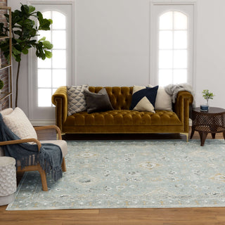 Karastan Windemere Ravenglass Blue Area Rug 