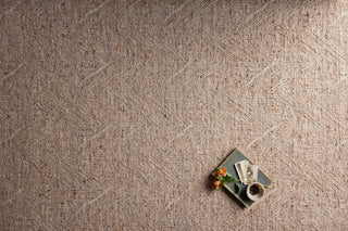 Loloi Raven RAV-01 Oatmeal/Natural Area Rug Lifestyle Image Feature