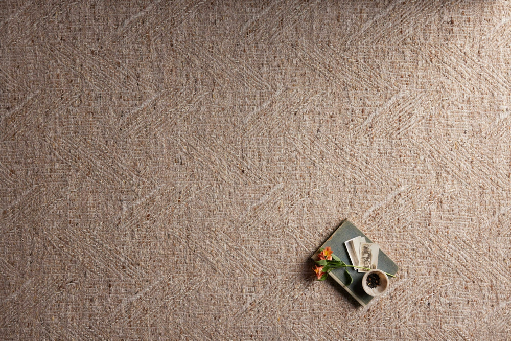 Loloi Raven RAV-01 Oatmeal/Natural Area Rug Lifestyle Image Feature