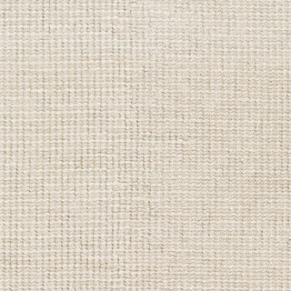 Surya Rebecca RBC-2300 Area Rug Swatch