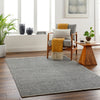 Surya Rebecca RBC-2302 Area Rug Room Scene Feature