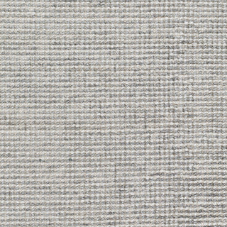 Surya Rebecca RBC-2305 Area Rug Swatch