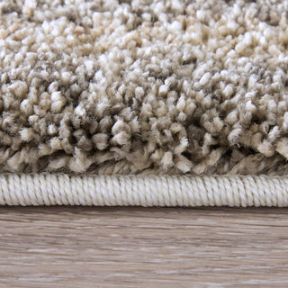 Feizy Richmond 39R3F Ivory/Gray/Tan Area Rug Lifestyle Image Feature