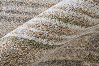 Feizy Richmond 39R3F Ivory/Gray/Tan Area Rug Lifestyle Image Feature