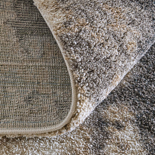 Feizy Richmond 39R7F Tan/Gray Area Rug Detail Image