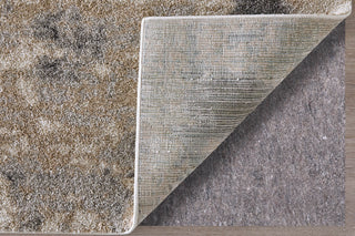 Feizy Richmond 39R7F Tan/Gray Area Rug Detail Image