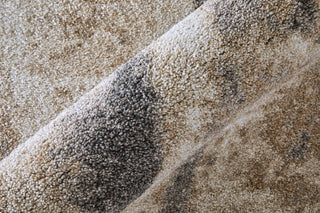 Feizy Richmond 39R7F Tan/Gray Area Rug Lifestyle Image Feature