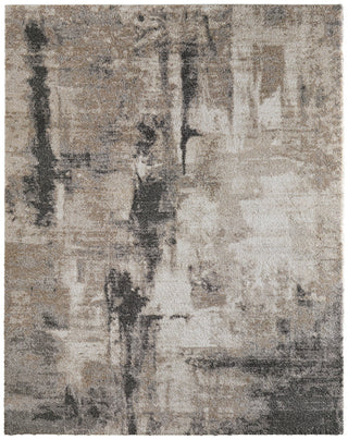 Feizy Richmond 39R7F Tan/Gray Area Rug main image