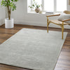 Surya Richmond RCM-2303 Area Rug Room Scene Feature