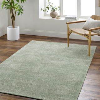 Livabliss Richmond RCM-2304 Sage Area Rug