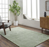 Livabliss Richmond RCM-2304 Sage Area Rug