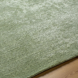 Livabliss Richmond RCM-2304 Sage Area Rug