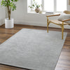 Livabliss Richmond RCM-2305 Metallic-Silver Area Rug