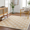 Livabliss Rodos RDO-2307 Area Rug Room Scene