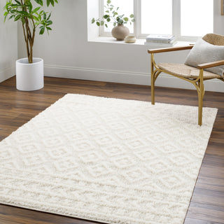 Surya Rodos RDO-2336 Area Rug Room Scene Feature