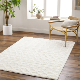 Livabliss Rodos RDO-2343 Area Rug