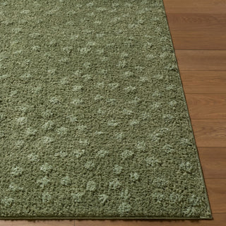 Livabliss Rodos RDO-2357 Area Rug Angle
