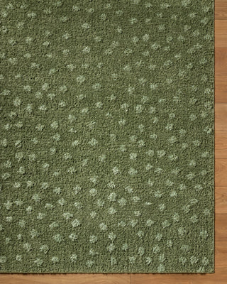 Livabliss Rodos RDO-2357 Area Rug Overhead Image