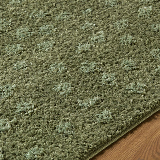 Livabliss Rodos RDO-2357 Area Rug Detail