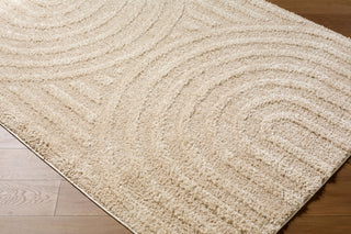Livabliss Rodos RDO-2358 Area Rug Corner Shot