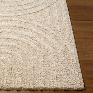 Livabliss Rodos RDO-2358 Area Rug Angle