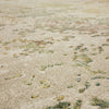Karastan Memento Reflection Beige Area Rug Detail Image