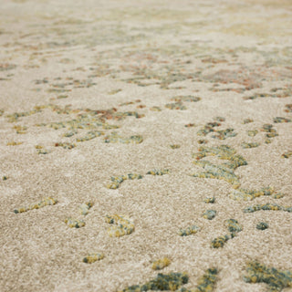 Karastan Memento Reflection Beige Area Rug Detail Image