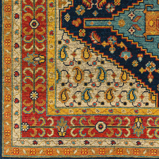 Surya Reign REG-2300 Area Rug Swatch