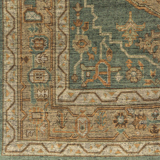 Surya Reign REG-2304 Area Rug Swatch