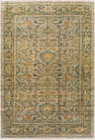 Surya Reign REG-2305 Area Rug main image