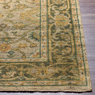 Surya Reign REG-2305 Area Rug Angle