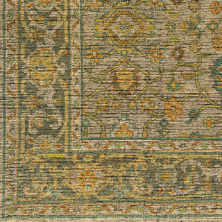 Surya Reign REG-2305 Area Rug Swatch