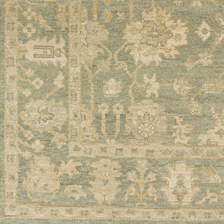 Surya Reign REG-2306 Area Rug Swatch
